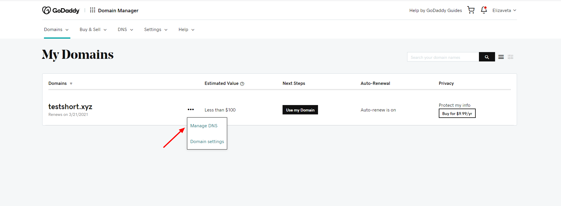 manage-dns.png